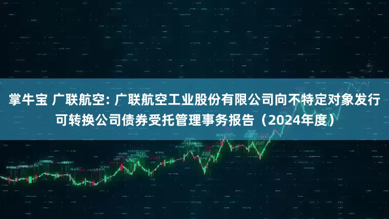 掌牛宝 广联航空: 广联航空工业股份有限公司向不特定对象发行可转换公司债券受托管理事务报告（2024年度）