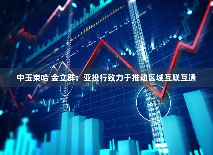 中玉束哈 金立群：亚投行致力于推动区域互联互通