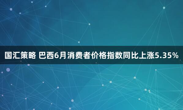 国汇策略 巴西6月消费者价格指数同比上涨5.35%