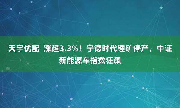 天宇优配  涨超3.3%！宁德时代锂矿停产，中证新能源车指数狂飙