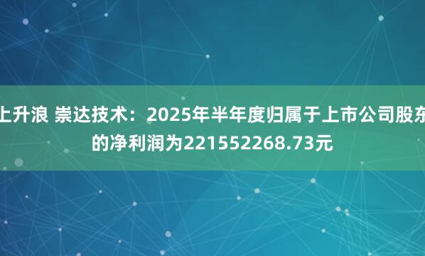上升浪 崇达技术：2025年半年度归属于上市公司股东的净利润为221552268.73元