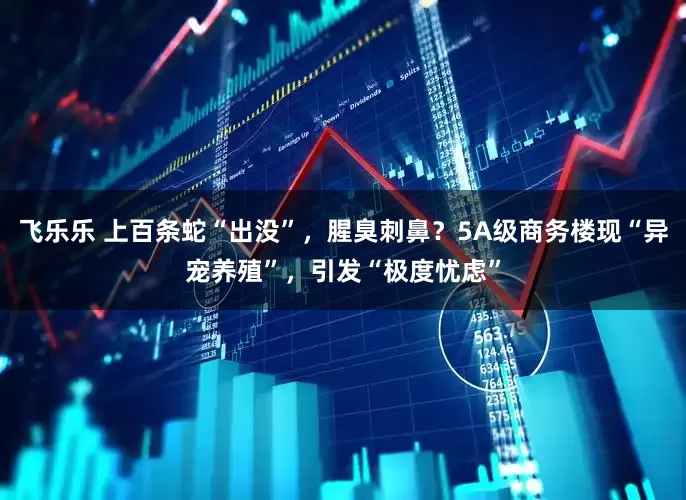 飞乐乐 上百条蛇“出没”，腥臭刺鼻？5A级商务楼现“异宠养殖”，引发“极度忧虑”